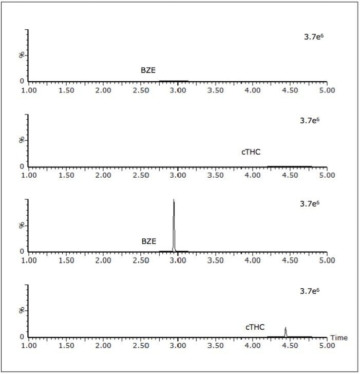 Chromatogram of a sample that screened positive for cTHC yet negative for BZE by immunoassay but by UPLC-MS/MS was shown to contain BZE at 50 ng/mL