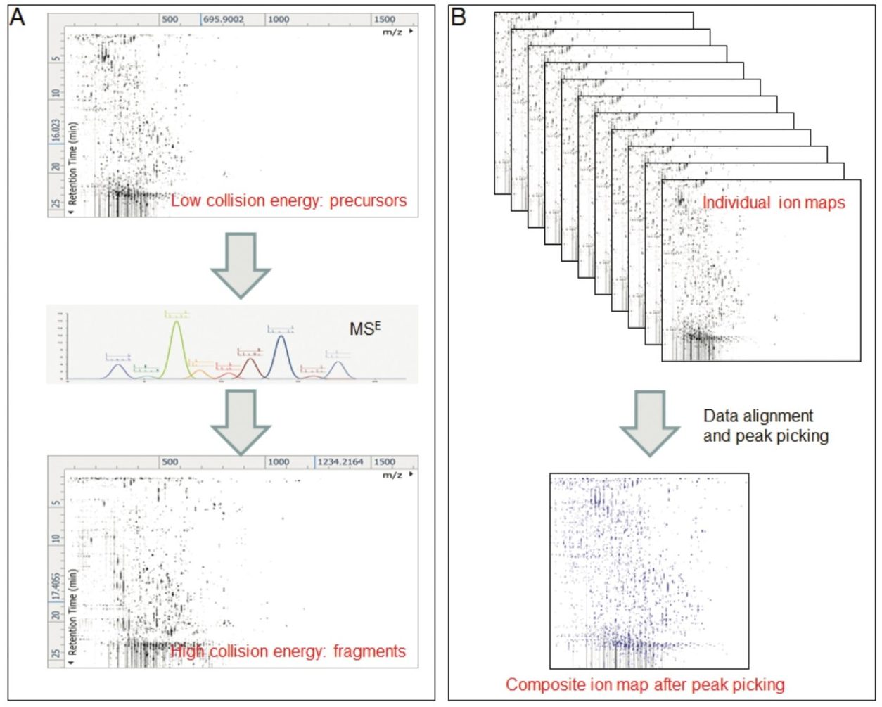 Samples were acquired using data independent analysis (MSE)