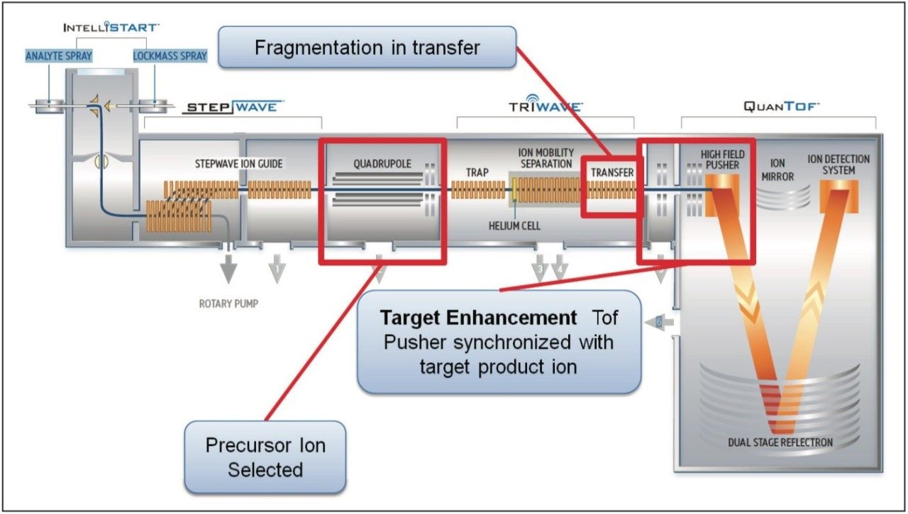  A schematic of SYNAPT G2-S 