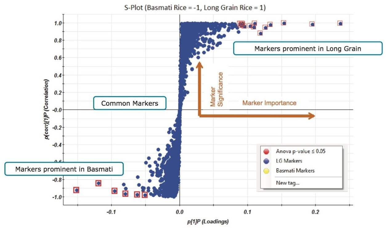 OPLS-DA model showing differences between basmati rice and long grain rice samples.