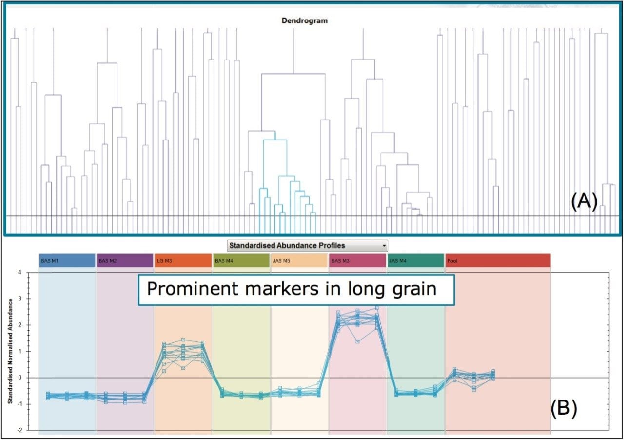 Markers of interest in long grain rice isolated using Correlation Analysis. 
