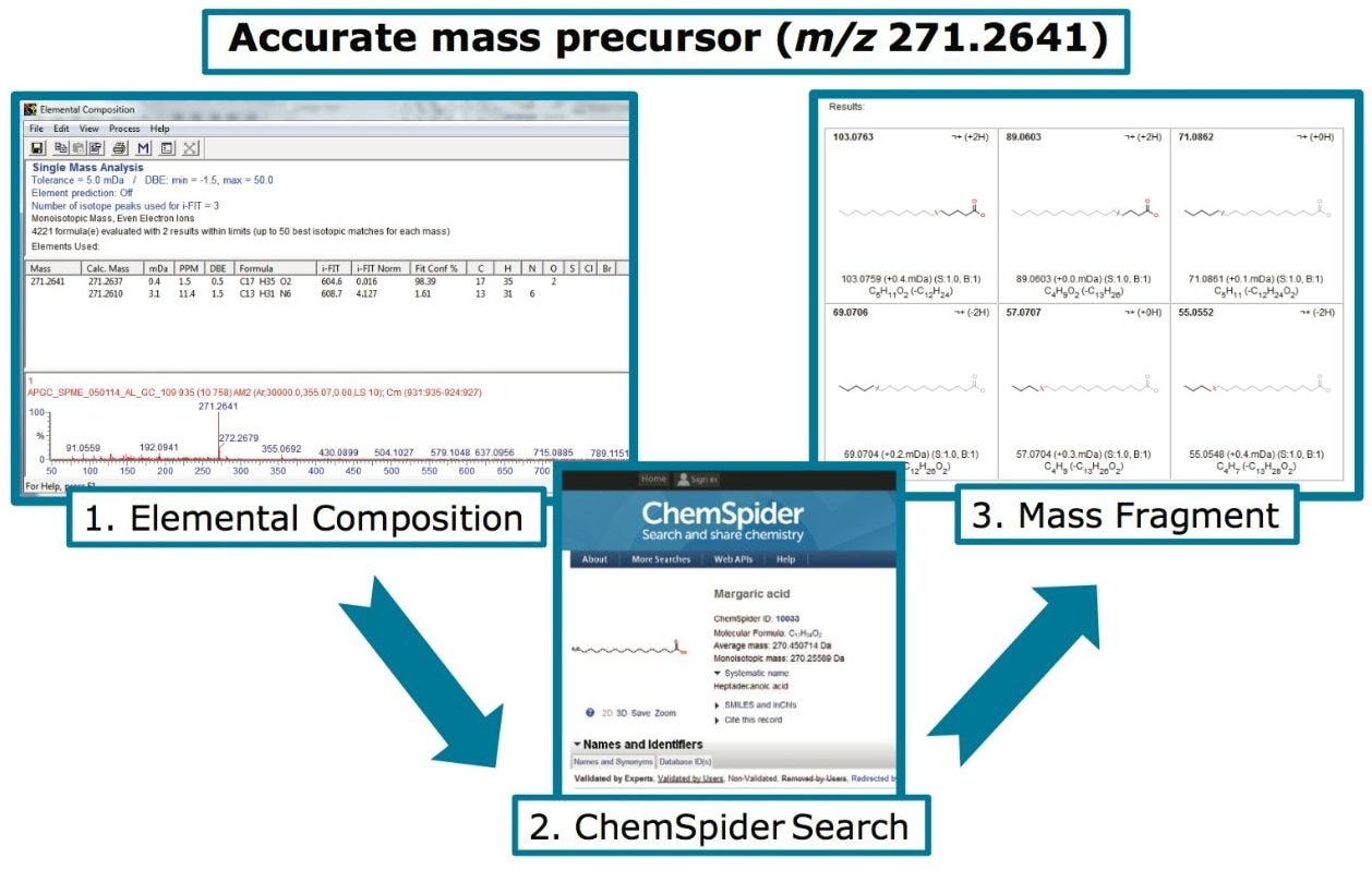 MassLynx Software’s structural elucidation workflow for isolated markers of interest.