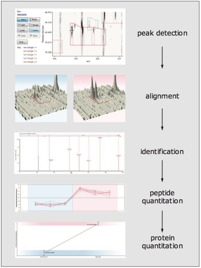 Workflow for Progenesis QI for proteomics.