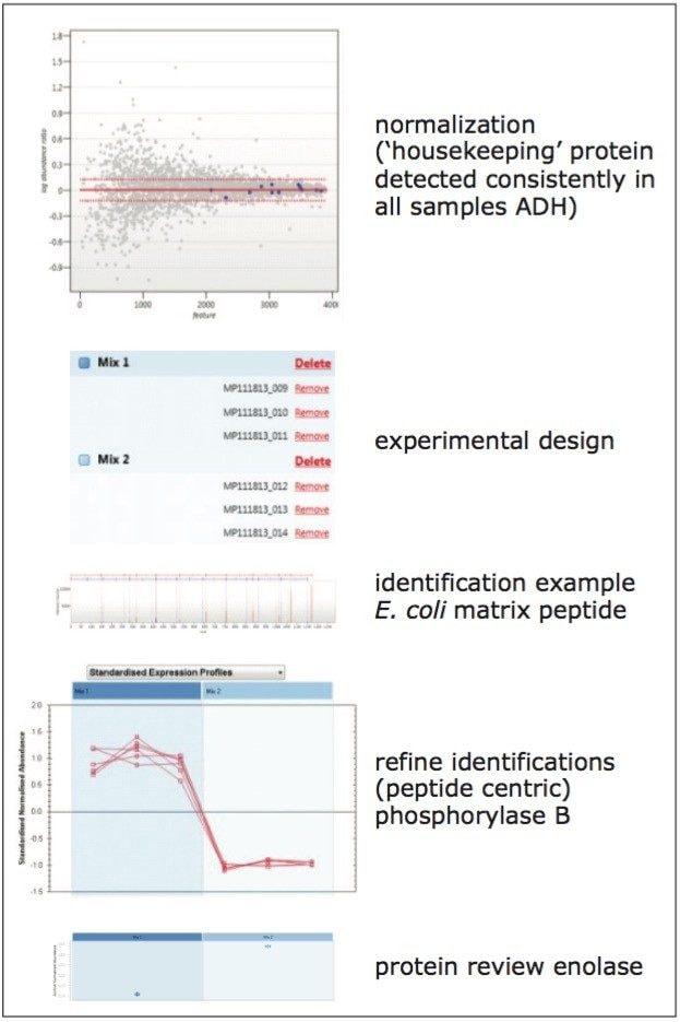 Workflow and quantitative results of a label-free LC-IM-DIA-MS experiment
