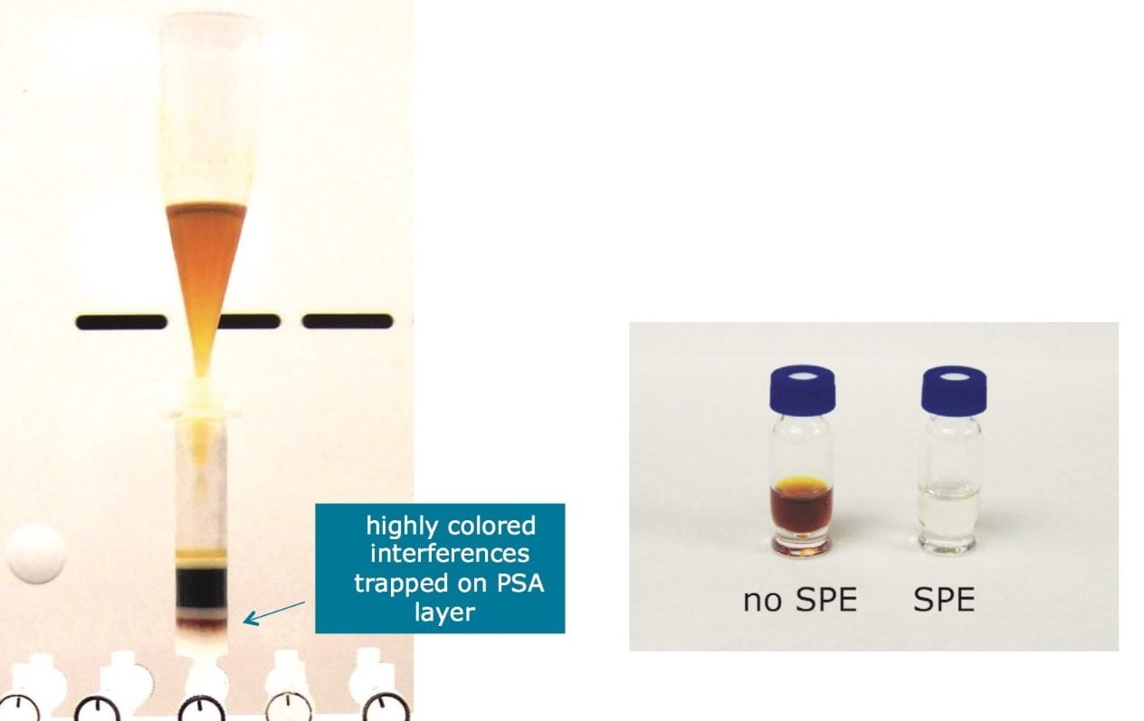 Figure 3. QuEChERS tea extract cleaned up Sep-Pak PSA/carbon cartridge for GC-MS analysis; pass thru cartridge cleanup is shown on left and resulting sample vials are shown on right.