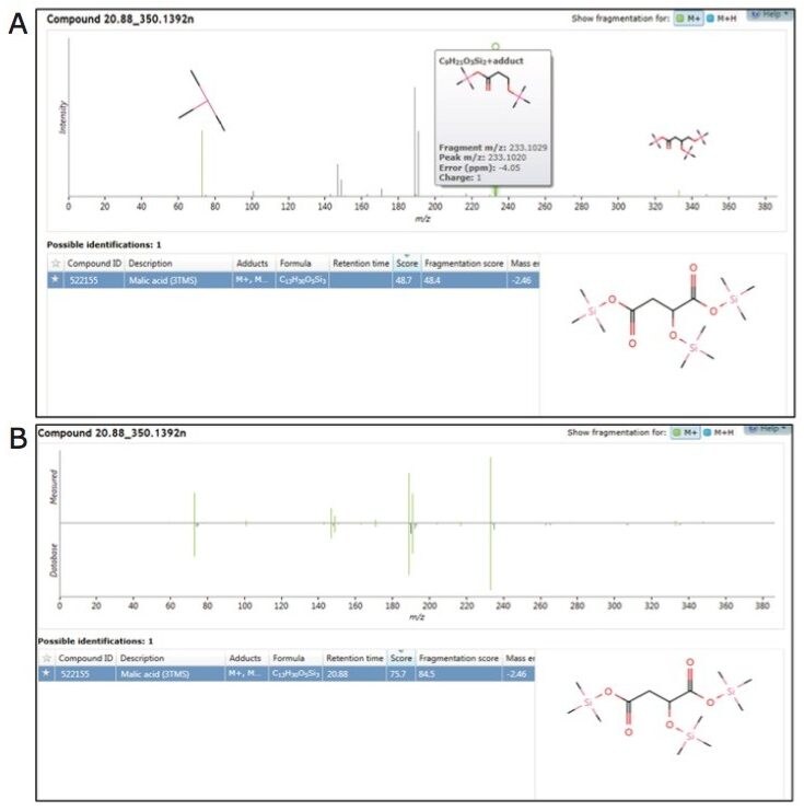  Identification of malic acid extracted from a biological matrix