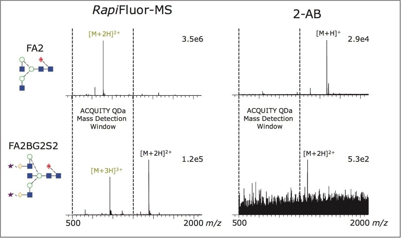 Charge States of RapiFluor-MS Labeled N-Glycans