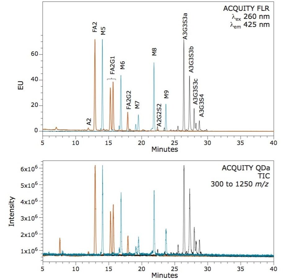 Glycans from human IgG (red trace ), RNAse B (black trace), and bovine fetuin (blue trace) were released with Rapid PNGase F, labeled with RapiFluor-MS reagent.