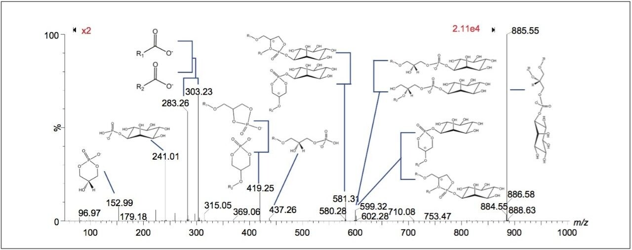 MS-MS spectrum.