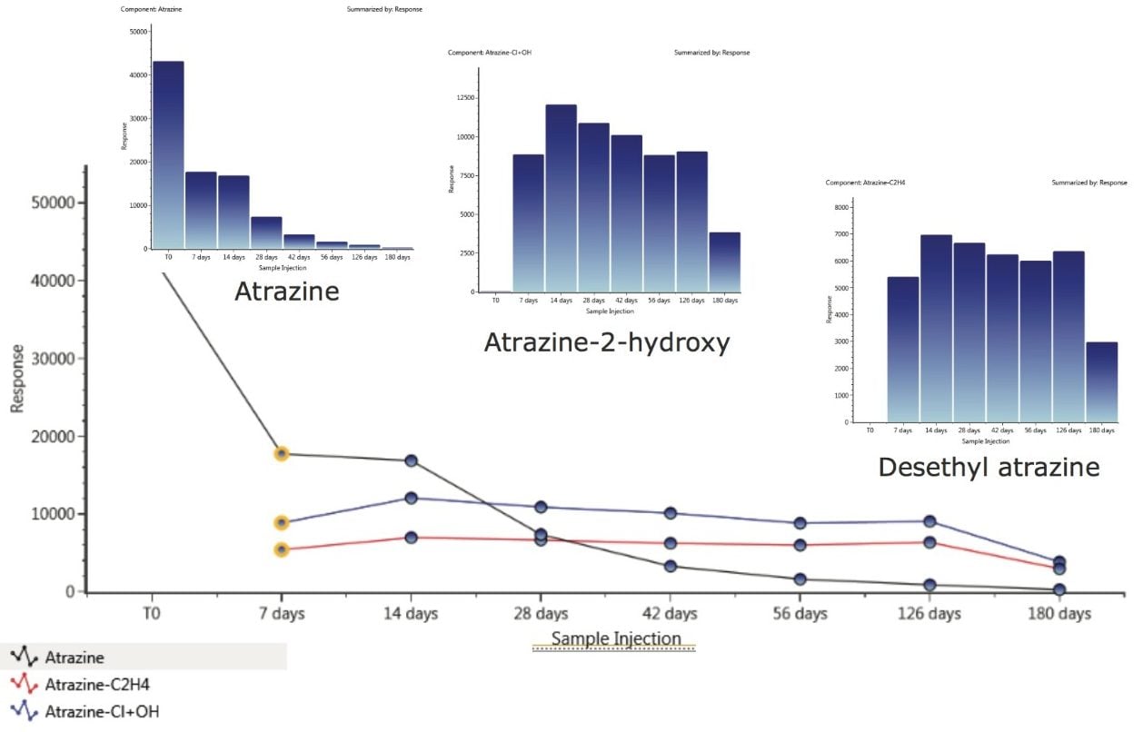 The TrendPlot function within UNIFI shows the graphical representation of a kinetics study made from spiked samples using atrazine and two of its metabolites: atrazine-2-hydroxy and desethyl atrazine. 