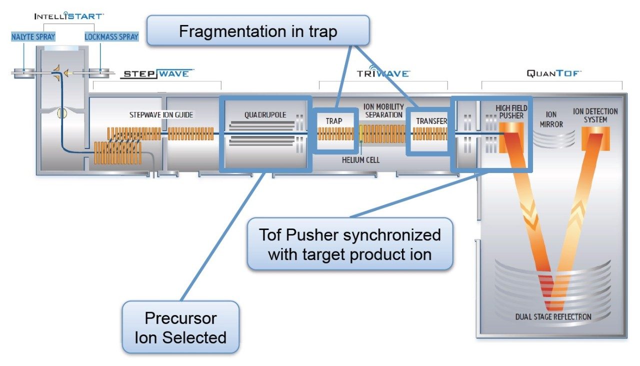  Instrument schematic of SYNAPT G2-Si. Tof MRM