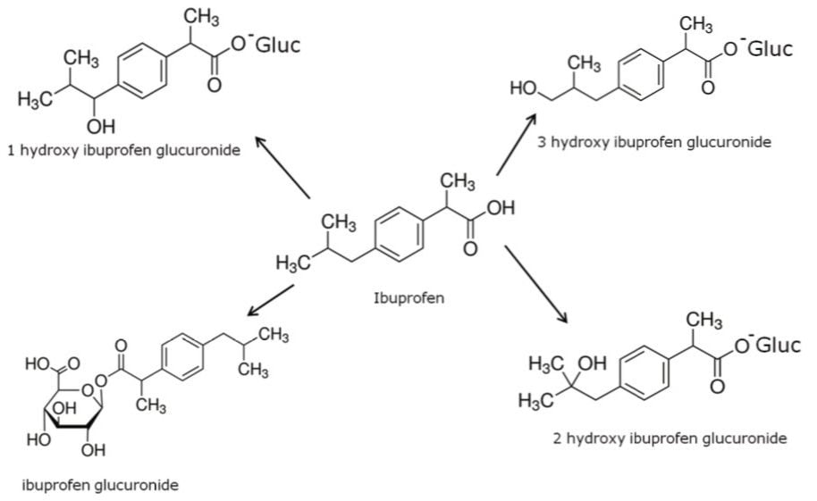  Ibuprofen and some of its associated metabolites