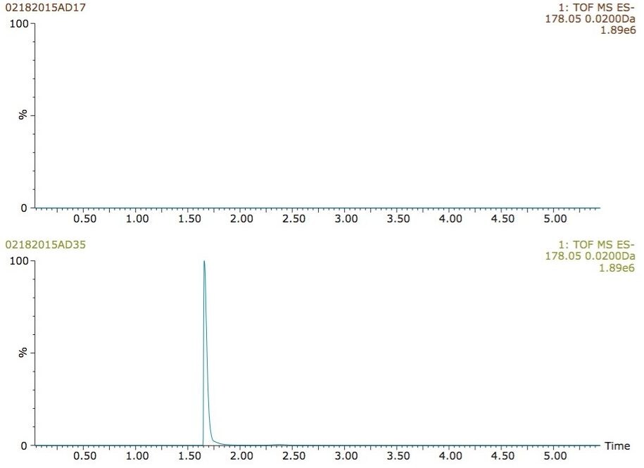 Extracted ion chromatograms of hippuric acid