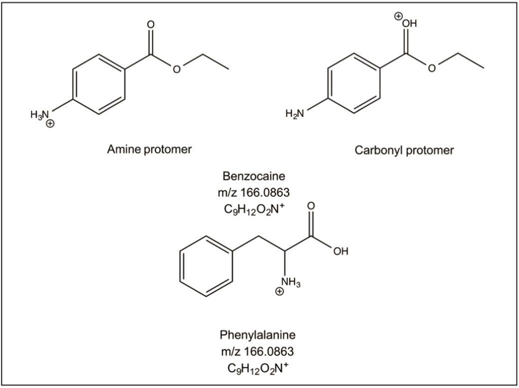 Possible protonation sites of benzocaine and phenylalanine.