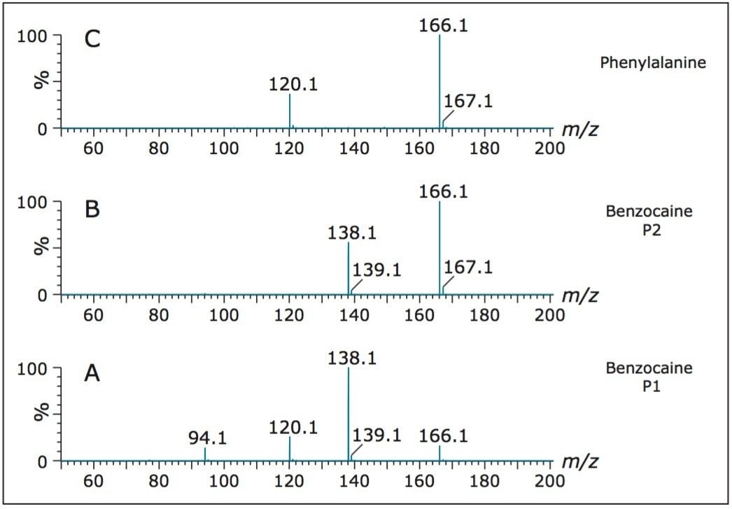 CID product ion mass spectra.