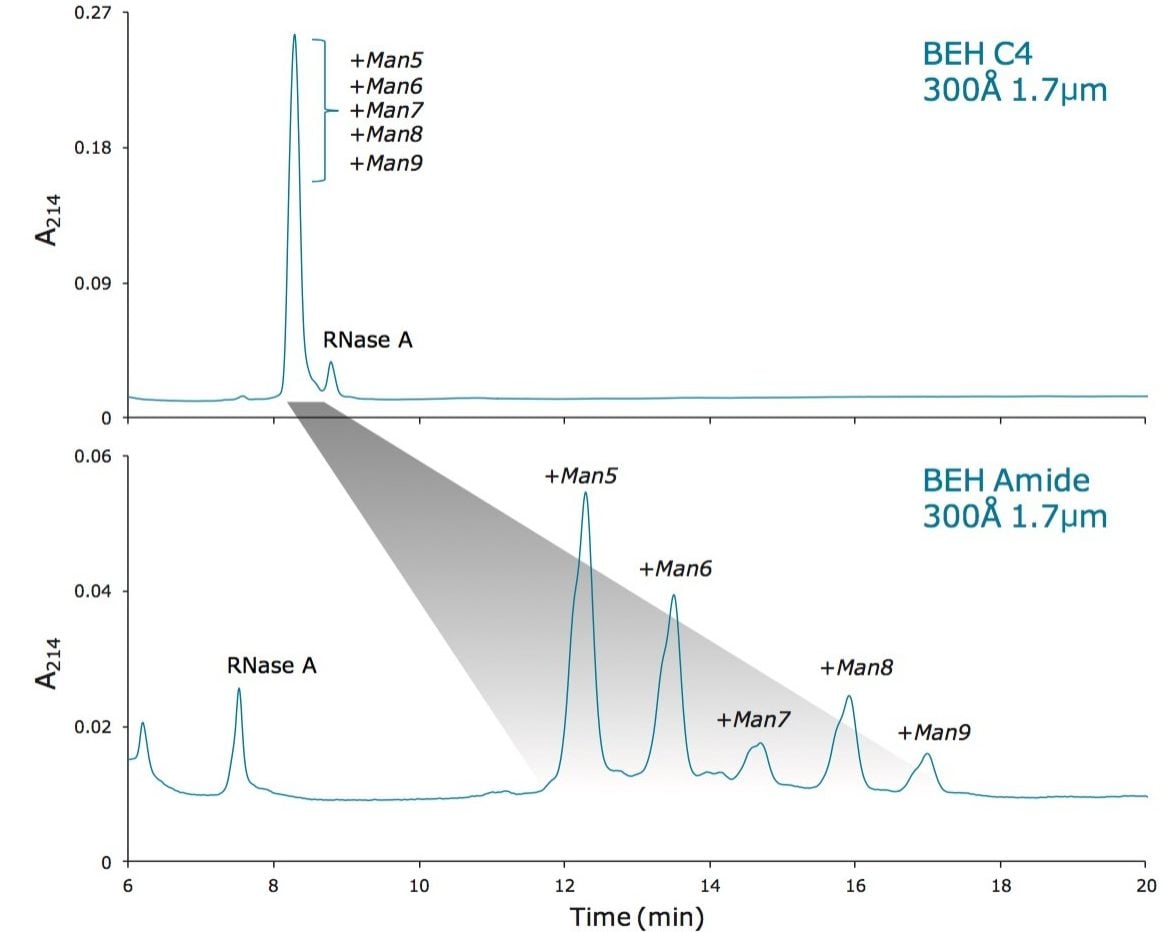 Orthogonality of reversed phase with BEH C4, 300Å, 1.7 µm and HILIC with BEH Amide, 300Å, 1.7 µm Columns.