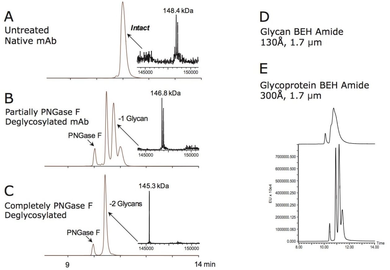 Assaying glycan occupancy and deglycosylation by intact protein HILIC-FLR-MS. 