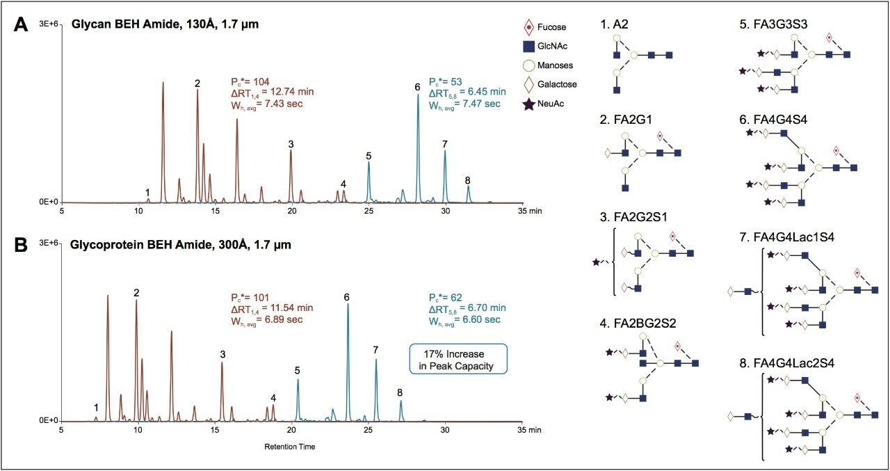 HILIC fluorescence chromatograms for RapiFluor-MS labeled N-glycans  from pooled human IgG (orange) and recombinant Factor IX (blue)