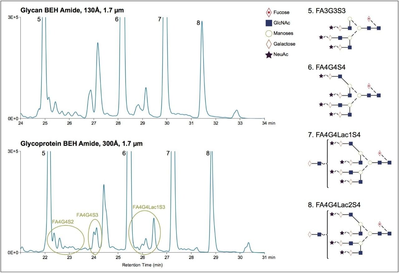 Glycan BEH Amide と Glycoprotein BEH Amide の比較