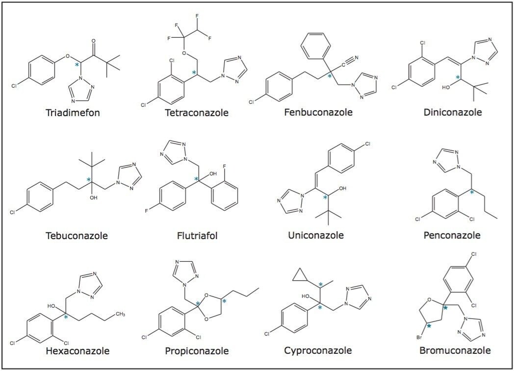 Structures of 12 triazole fungicides