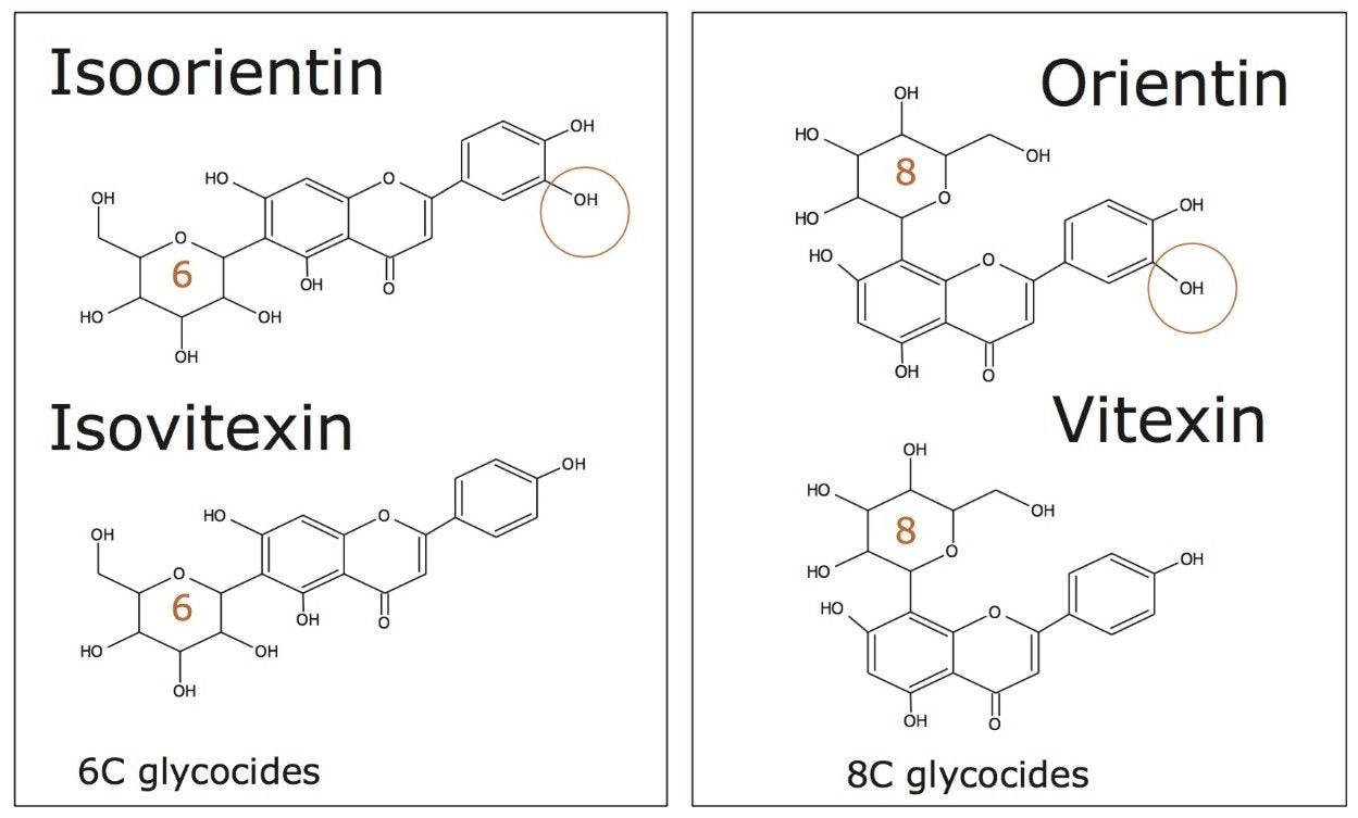 Structures of 6C and 8C glycosides profiled using UPLC-IM-MS.