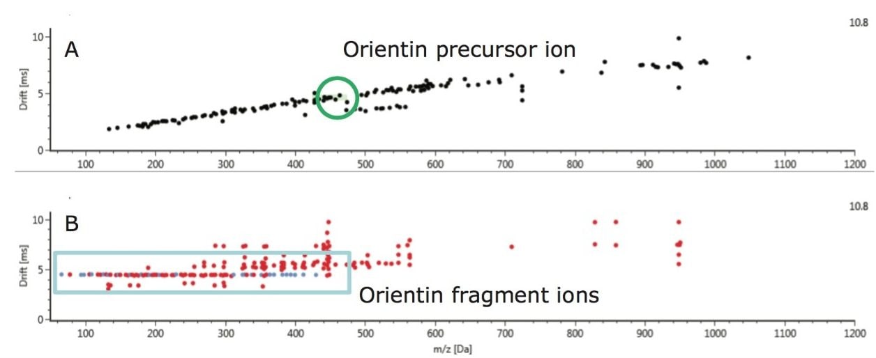 Ion mobility drift plot of Passiflora caerulea, for all ions detected at retention time 7.83 minutes. Precursor ions are shown in plot A and retention time aligned fragments in plot B. 