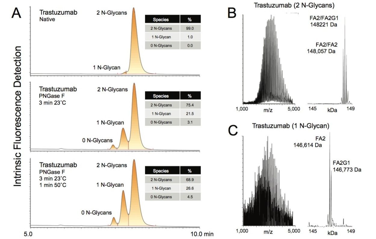 HILIC analysis of intact trastuzumab