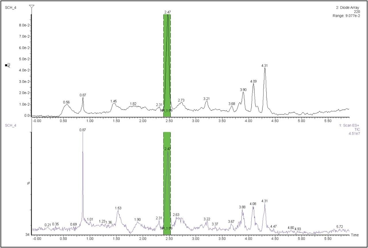Prep 100q SFC System separation of Schisandra SFE extract. 100 mL/min, 1%–10% gradient over 5 min, 100 bar, 40 °C, 120 μL injection, Top – PDA at 220 nm, Bottom – ACQUITY QDa total ion chromatogram 150–600 m/z. Green bar indicates the area where collection occurred.