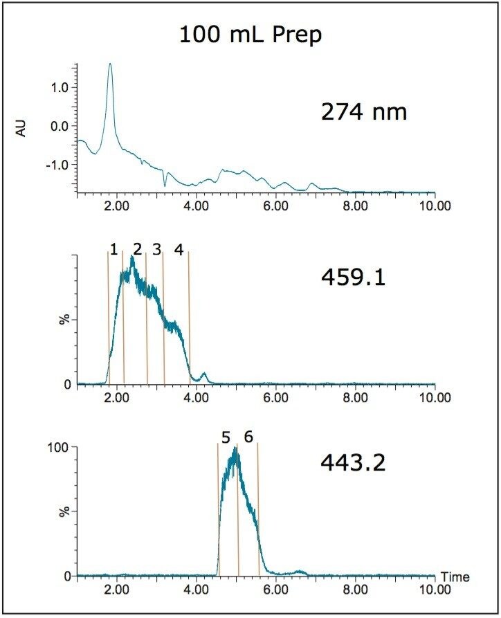 100 mL green tea extract on the 19 x 50 mm column