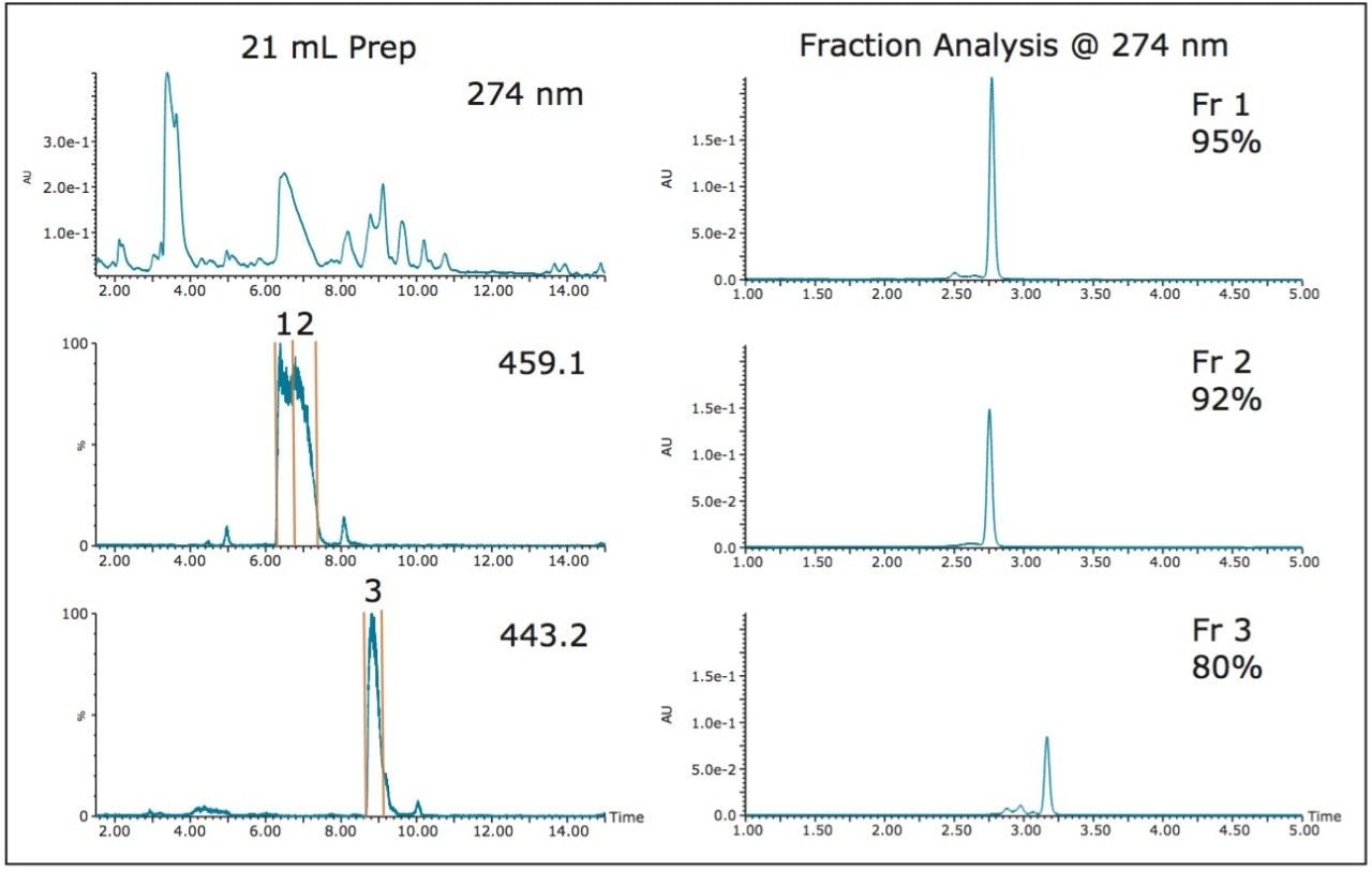21 mL injection of crude green tea extract on the 19 x 50 mm column using a 30 mL loop