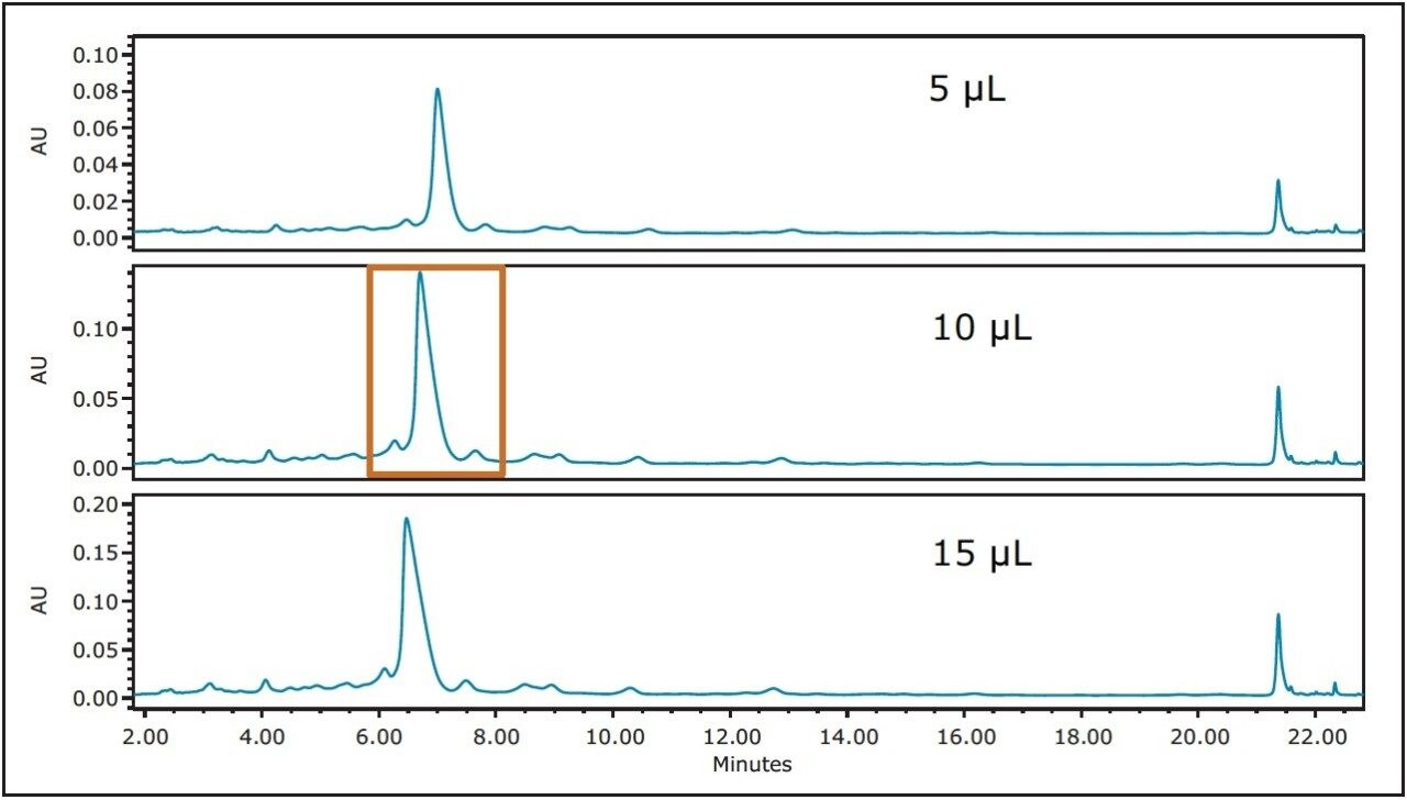 Loading study performed on the 4.6 x 100 mm column