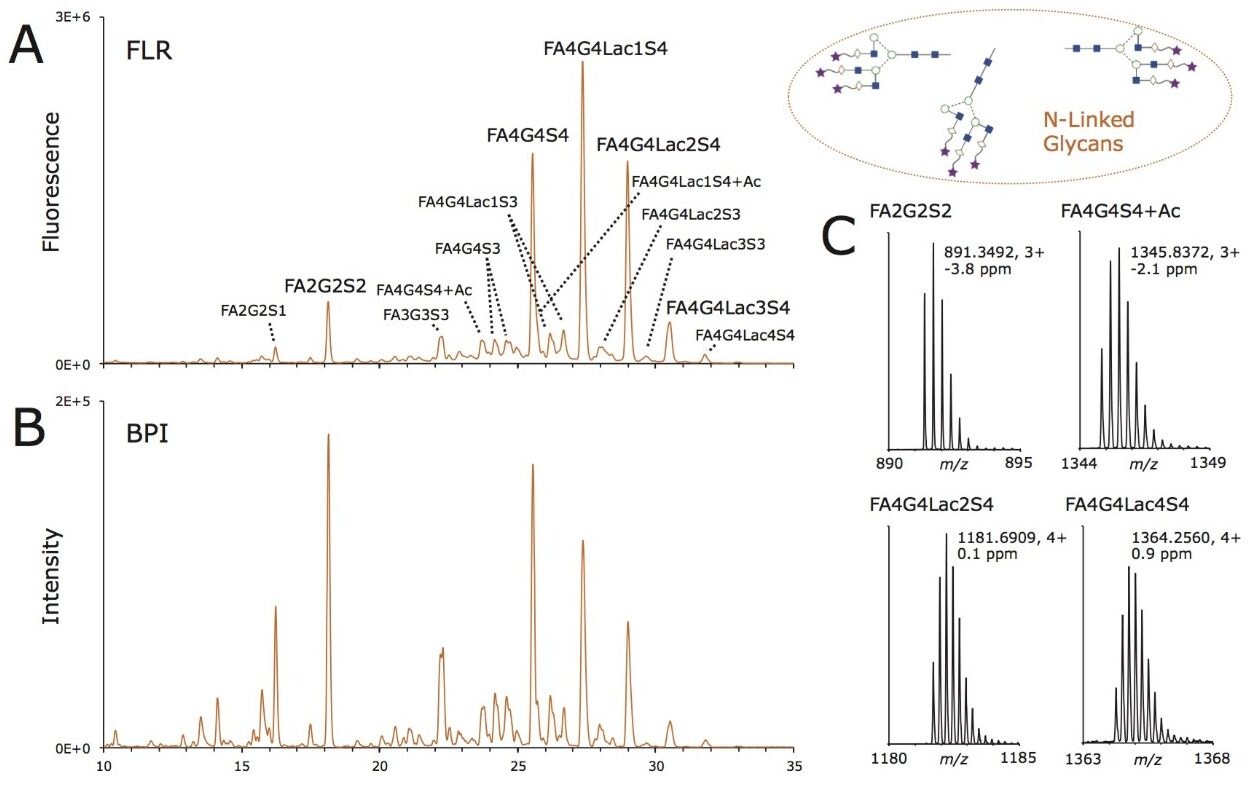 HILIC profiling of released N-glycans from rhEPO