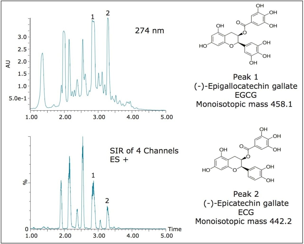 200 μL crude green tea extract injected on the 4.6 x 50 mm column