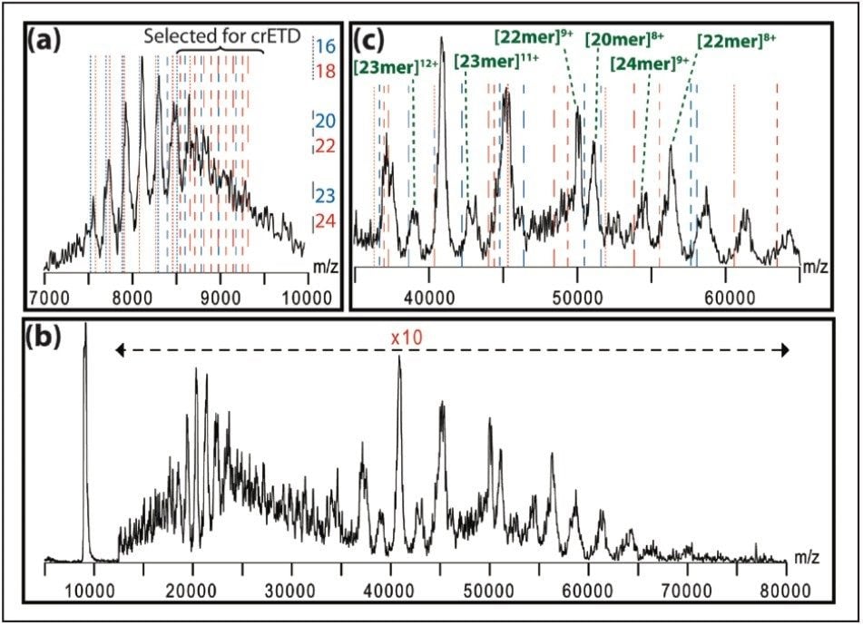 increased peak separation and simplified spectral assignment