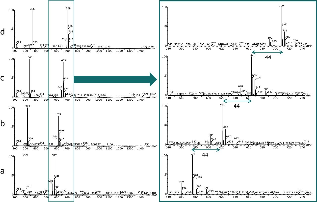 Mass spectra