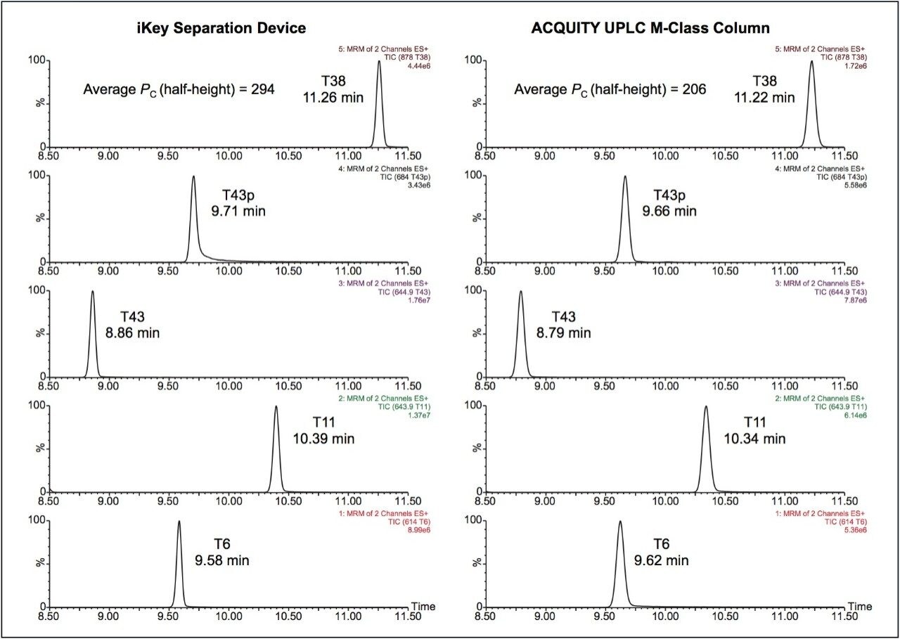 Typical chromatograms using an iKey Separation Device, and an ACQUITY UPLC M-Class Column