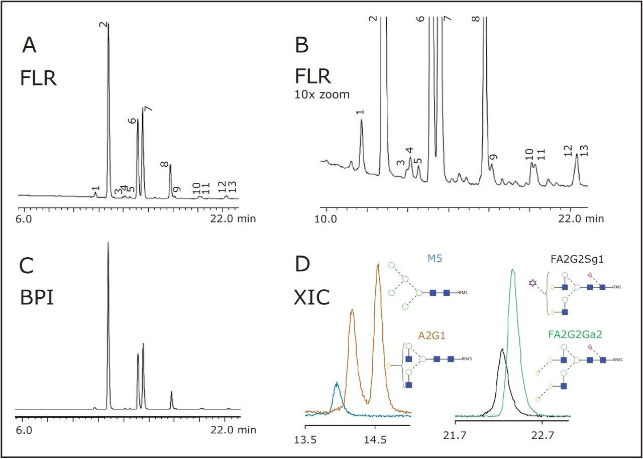 Fluorescence (FLR) chromatogram of RapiFluor-MS labeled N-glycans from Intact mAb Mass Check Standard