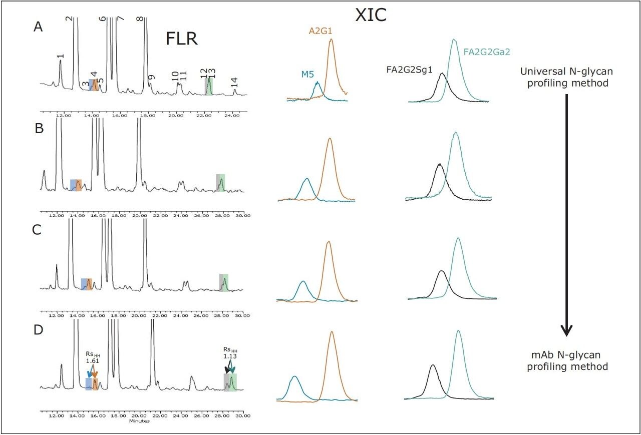 Fluorescence (FLR) chromatogram and extracted ion chromatograms (XICs) obtained with the universal N-glycan profiling method