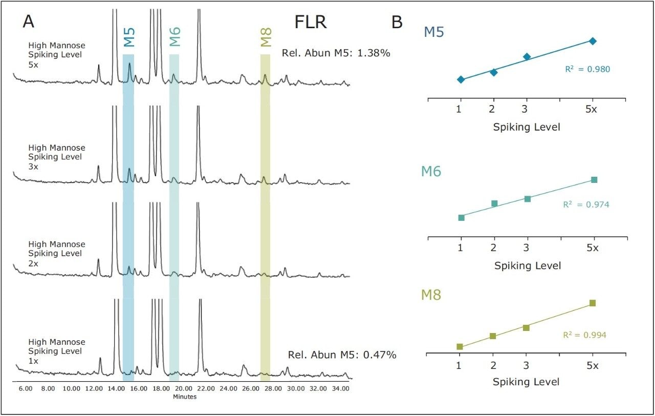 Fluorescence (FLR) chromatogram obtained for RapiFluor-MS N-glycans prepared from Intact mAb Mass Check Standard spiked with varying concentrations of the RapiFluor-MS High Mannose Standard