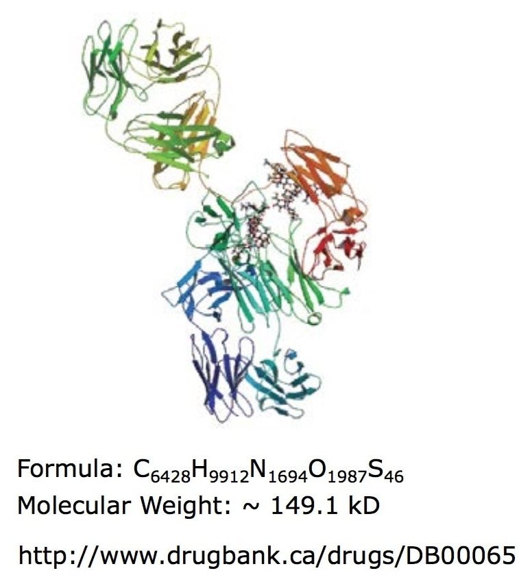 Infliximab (Remicade) protein structure.