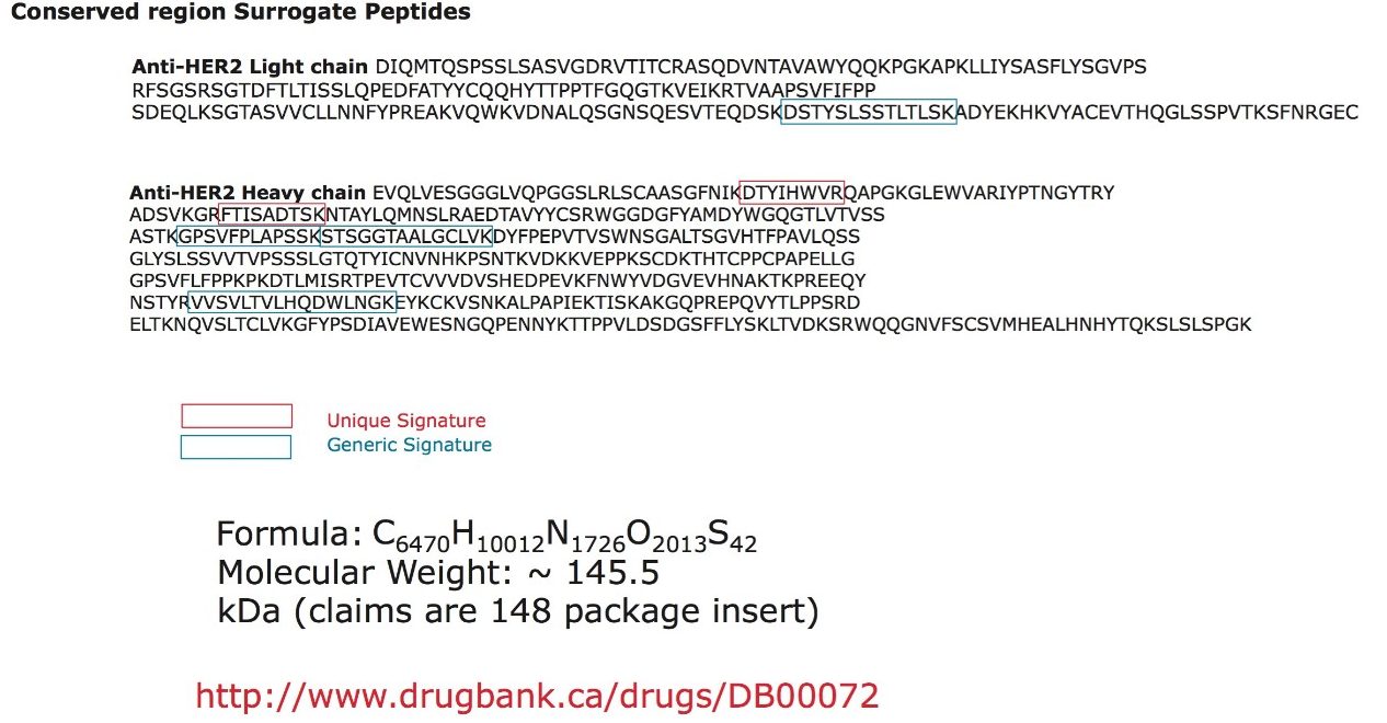 Structures of the monoclonal antibody-based drug trastuzumab (Herceptin).