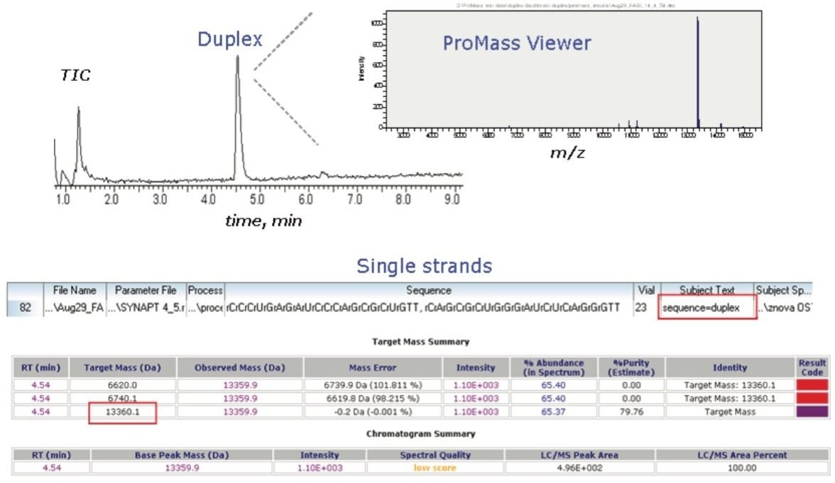 Analysis of intact RNA duplex.