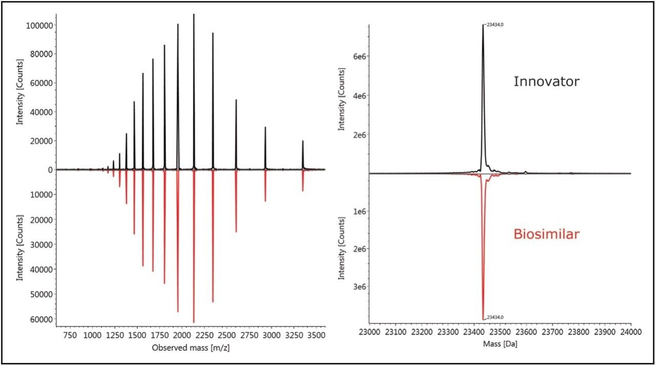 The combined raw MS spectra and deconvoluted spectra