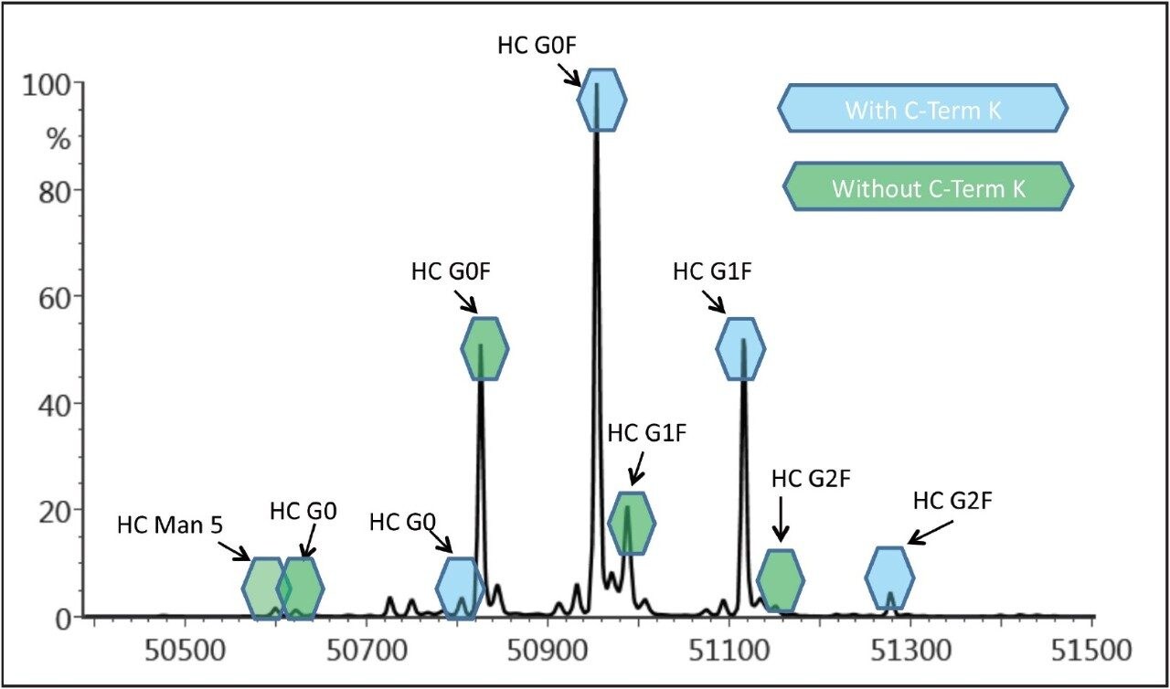 Presence of glycoforms G0, G0F, G1F, G2F, and Man5 as well as lysine variations