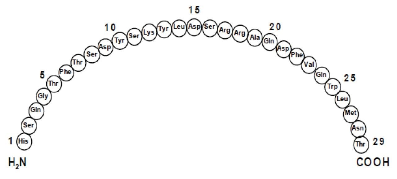 Representative amino acid sequence of glucagon