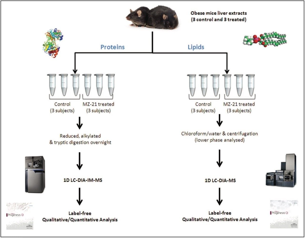 Experimental design and multi-omic analytical and informatic workflows
