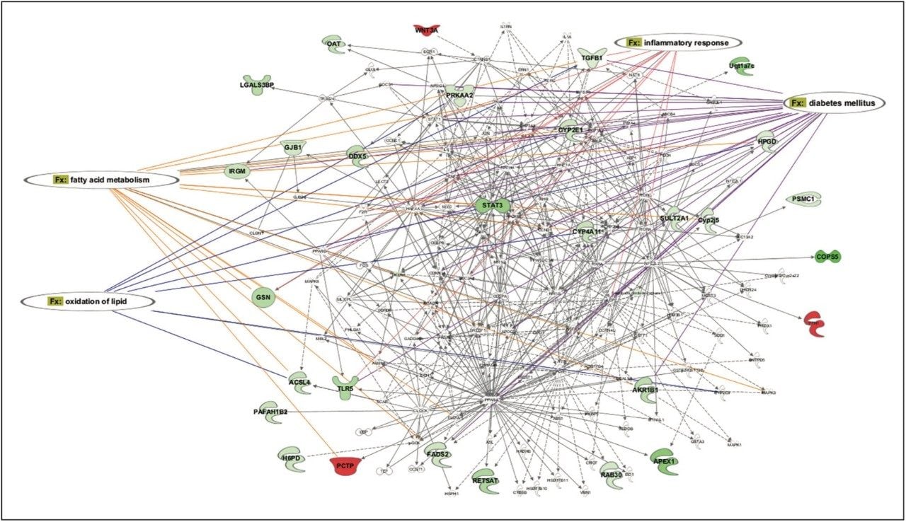 Lipid metabolism and molecular transport network