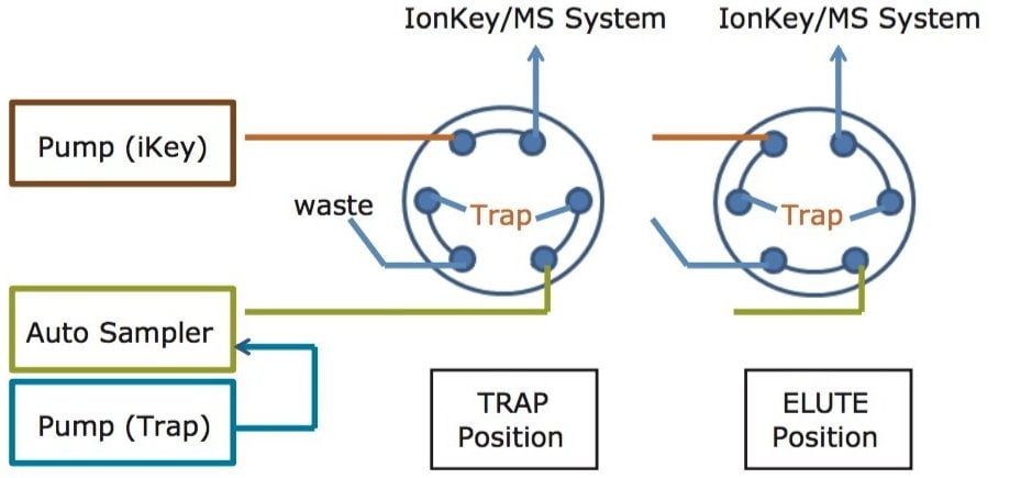 Instrument configuration dual pump trap-and-elute.