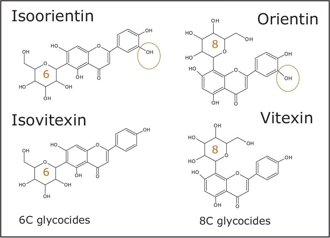 Structures of marker flavonoids.