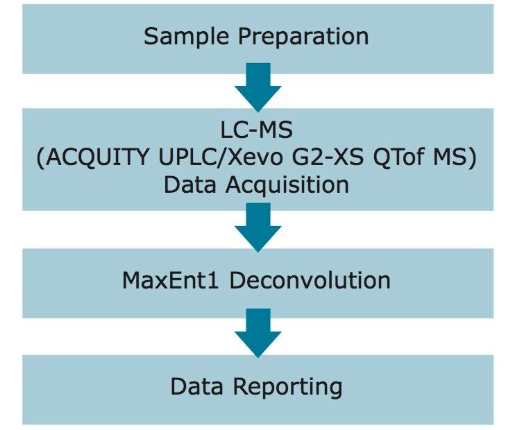 Workflow of Routine LC-MS Intact Mass Analysis.